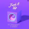 About Funk It Up Song